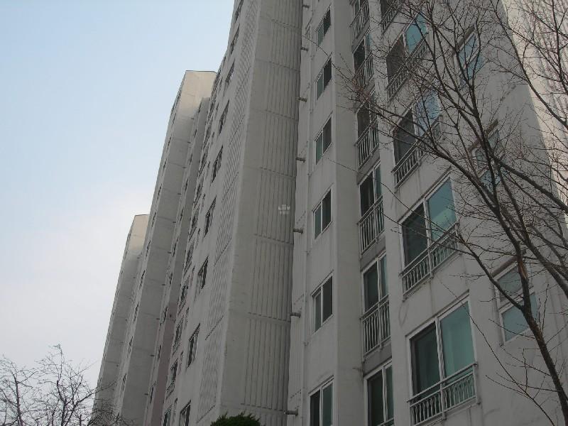 DSCN3002
