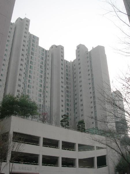 DSCN3005