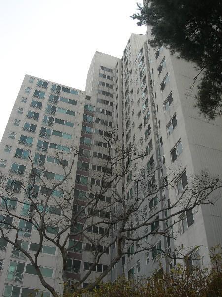 DSCN3006