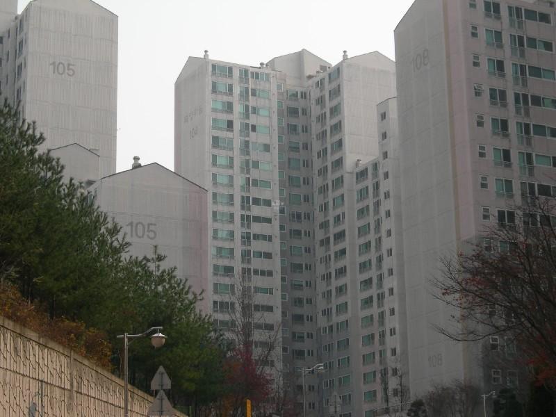 DSCN3007