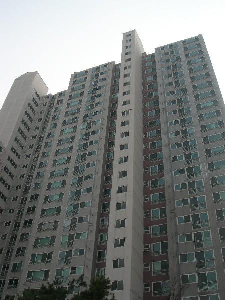 DSCN3009