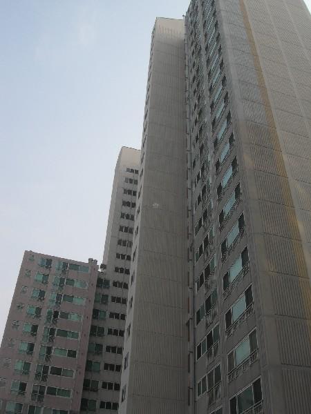 DSCN3013
