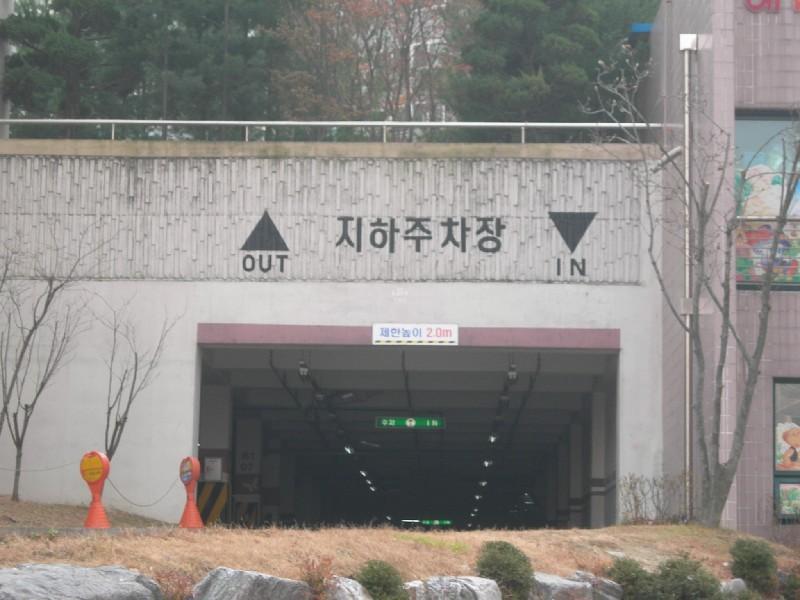 DSCN3010