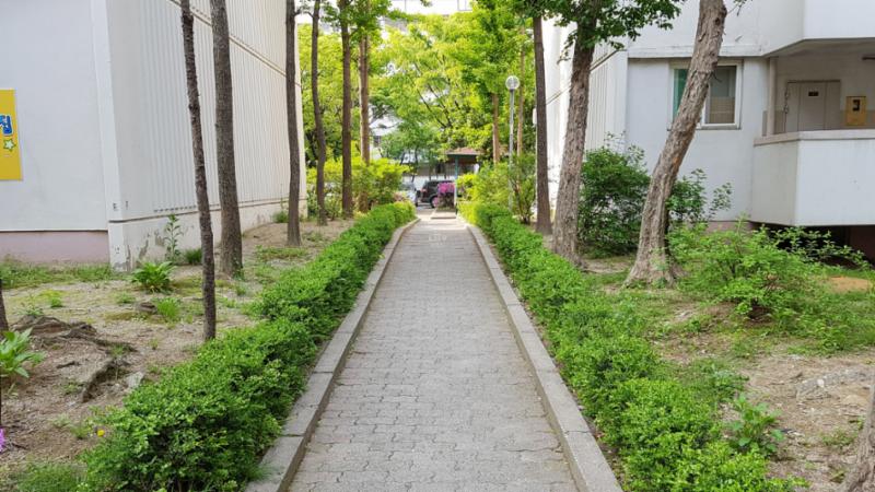 단지 내 보행로 및 산책로에요