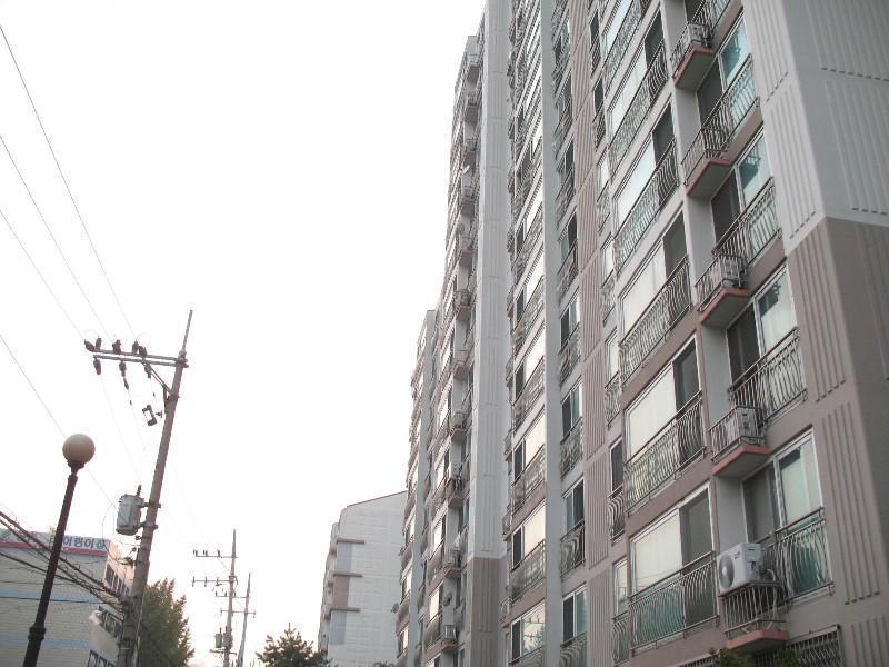 사진 1067