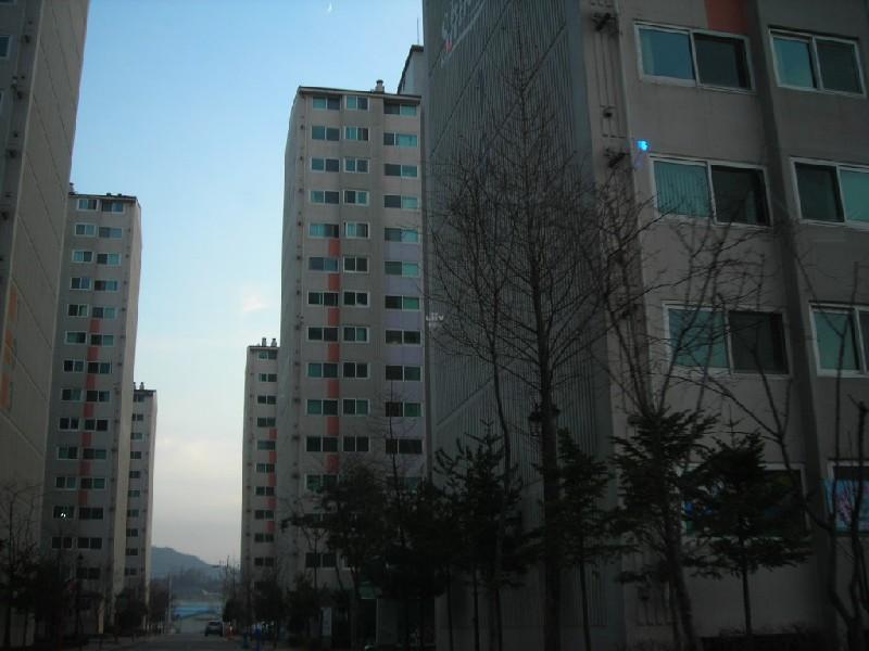 DSCN8903