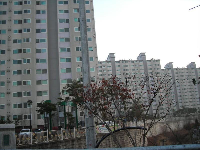 DSCN8911
