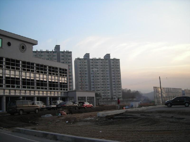 DSCN8919