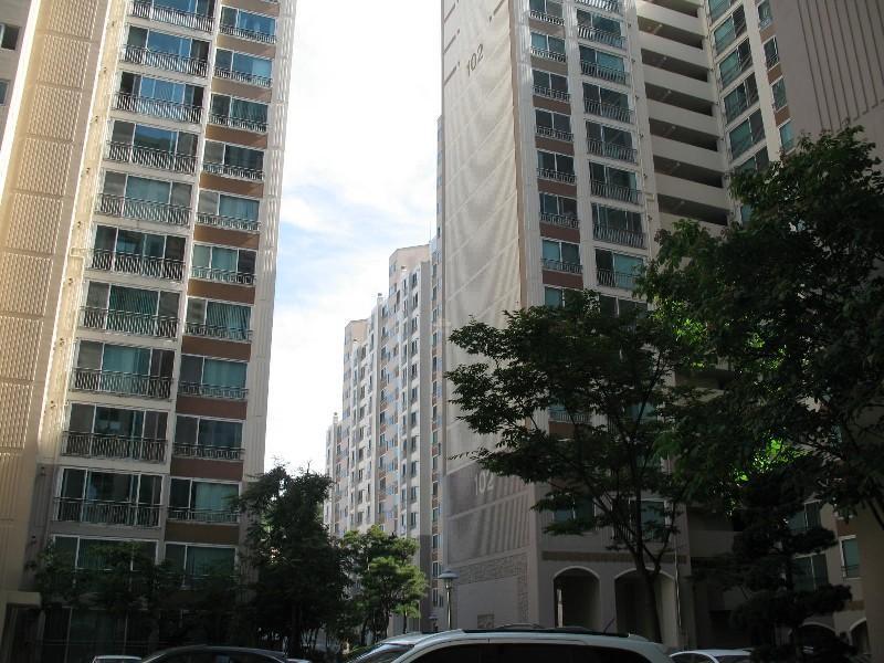 사진 181