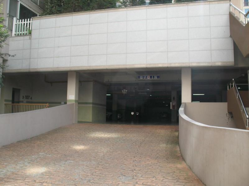 사진 183