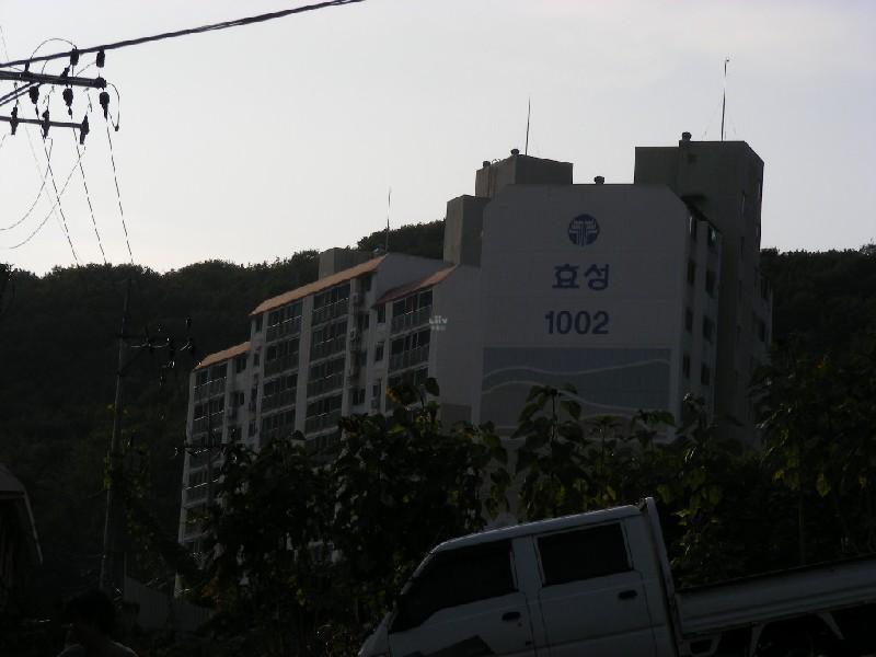 DSCN6032