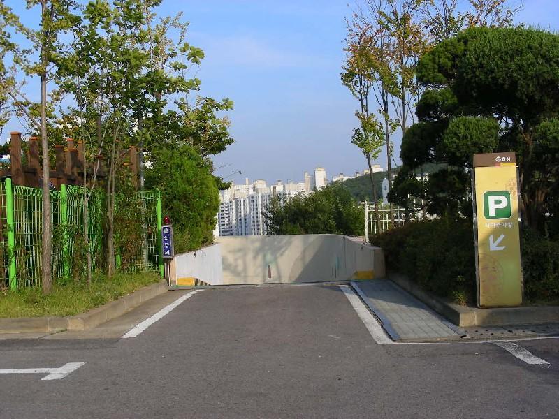 DSCN6037