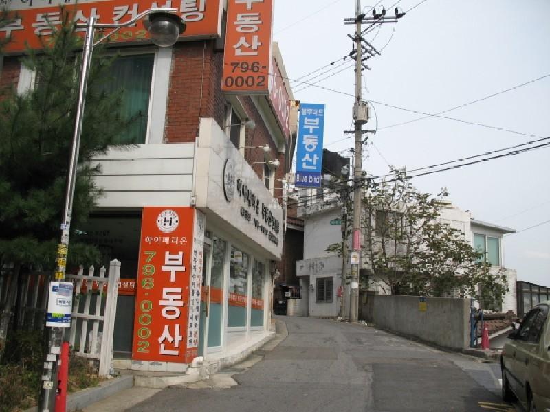 사진 270