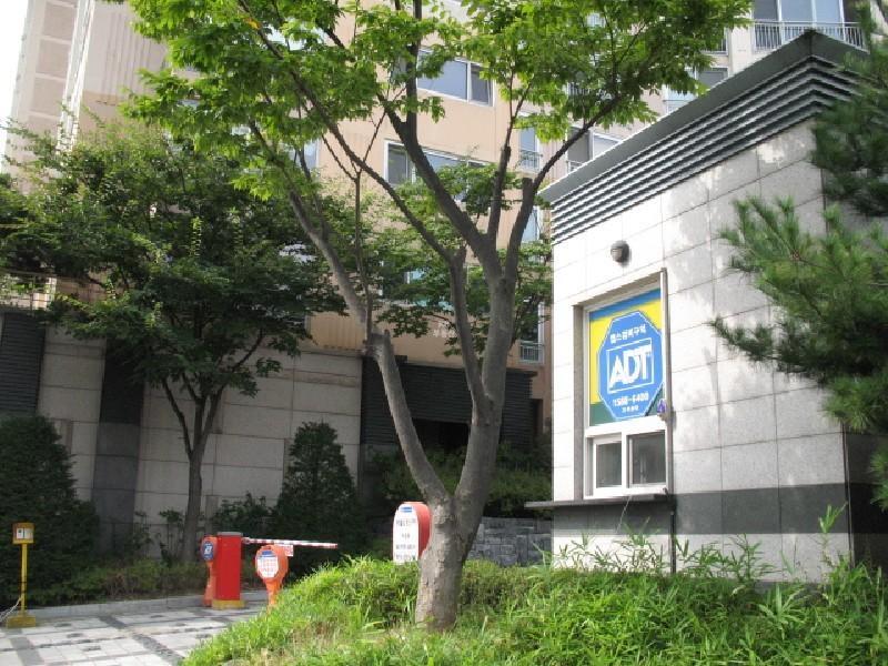 사진 271