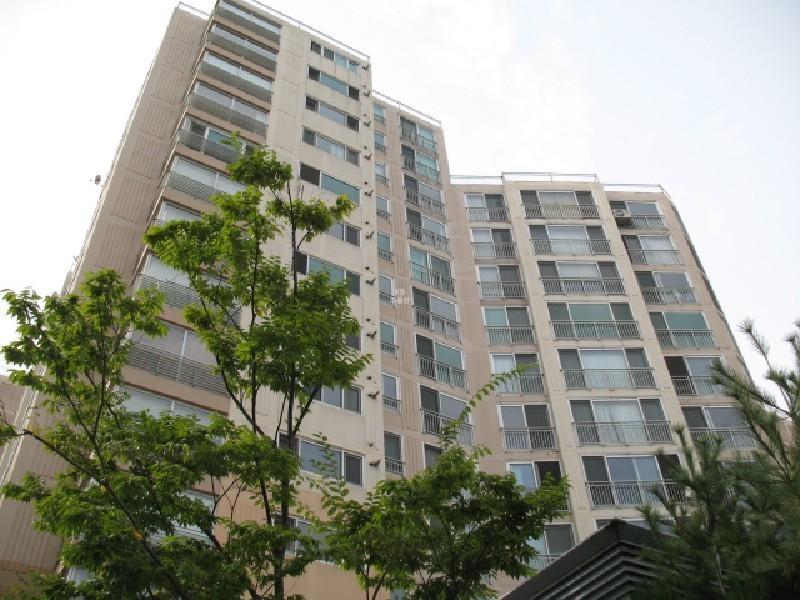 사진 272