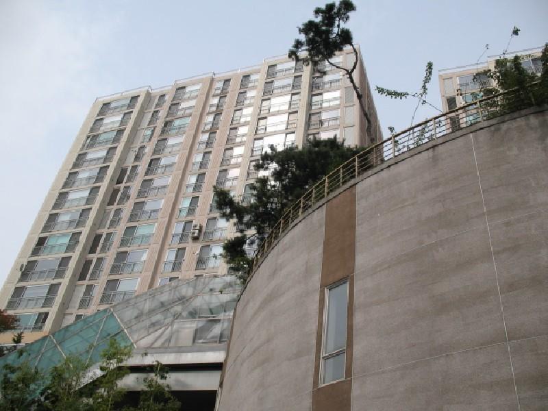 사진 279