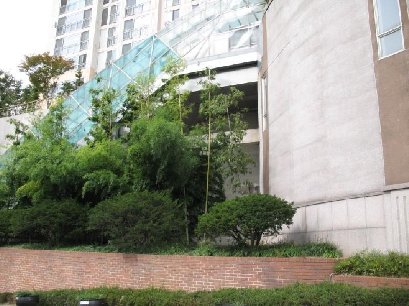사진 280