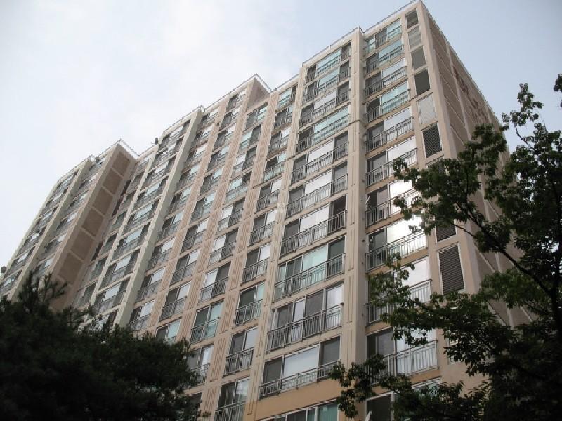 사진 281