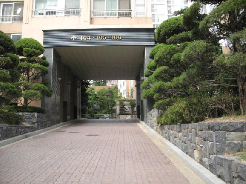 사진 285
