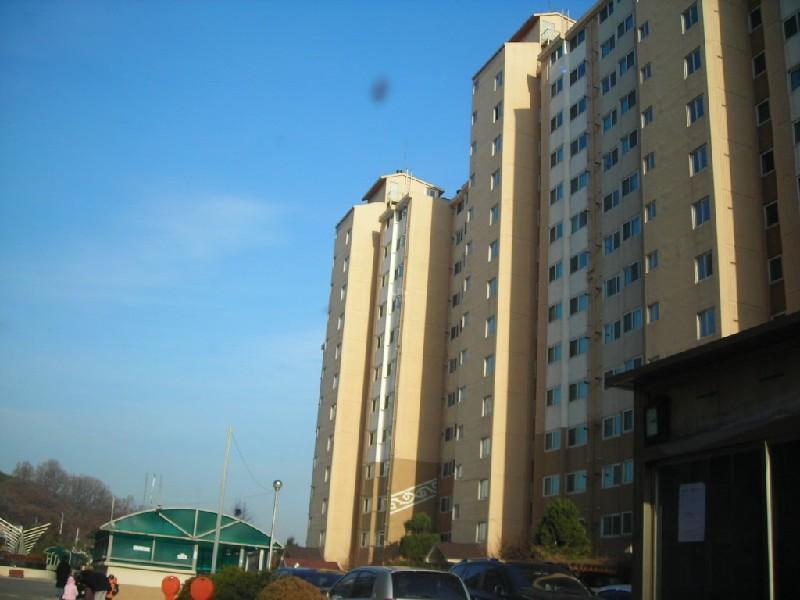 DSCN8523
