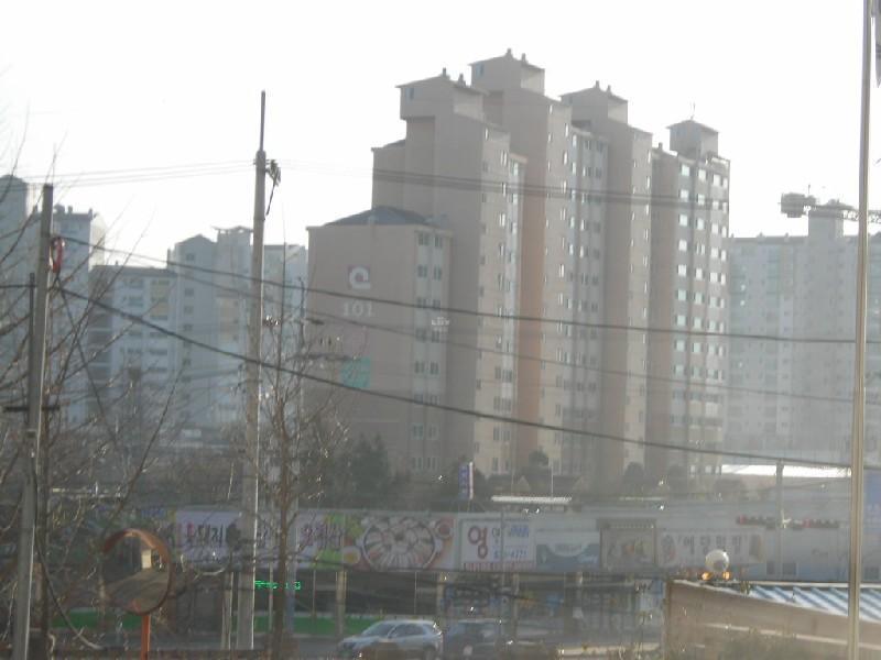 DSCN8497