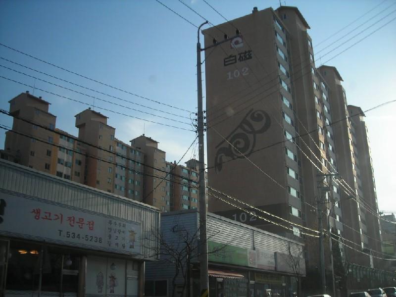 DSCN8519