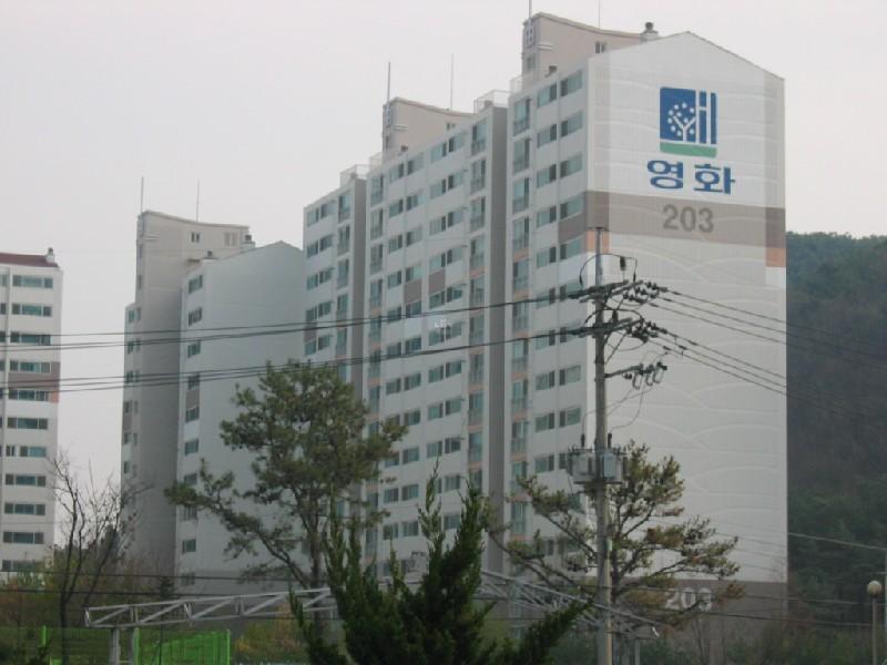 금평마을영화