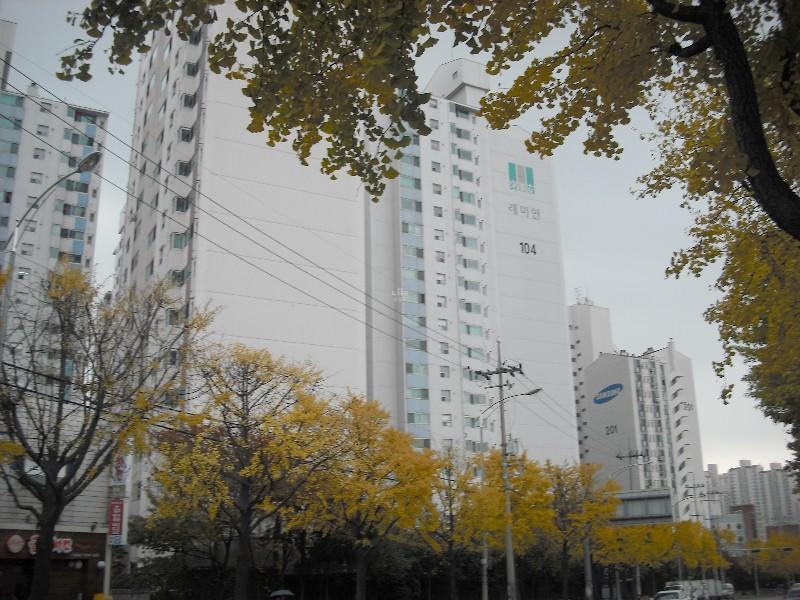 DSCF0099