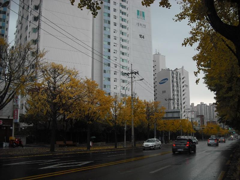 DSCF0102