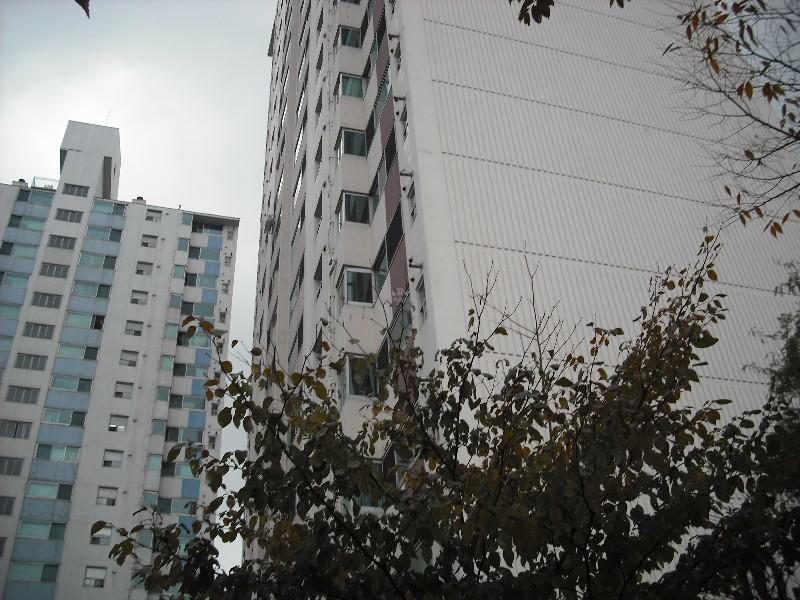 DSCF0104