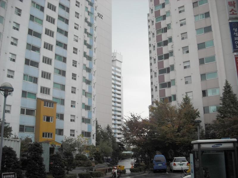DSCF0108