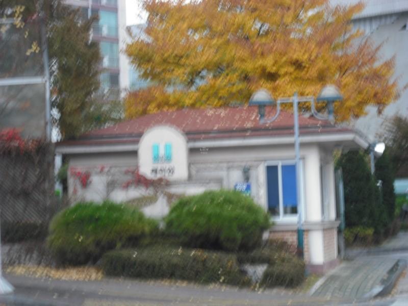 DSCF0120