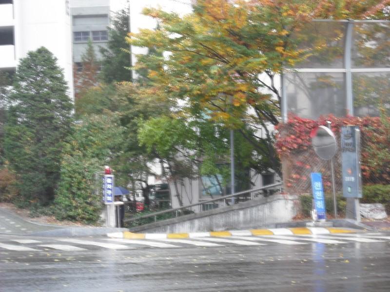 DSCF0119