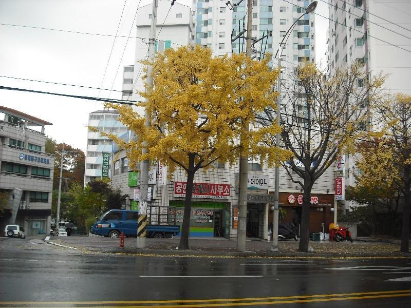 DSCF0101