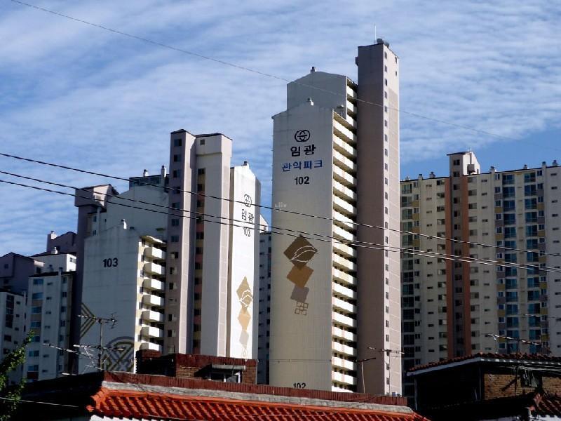 P1010926