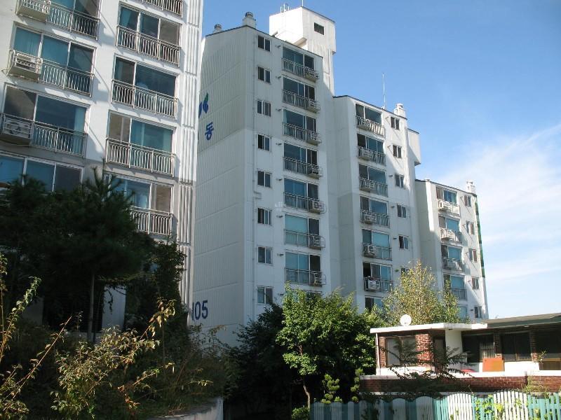 사진 091