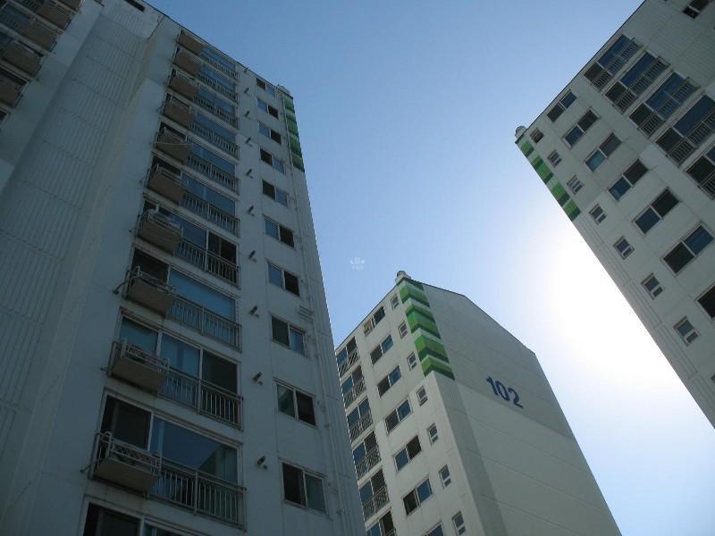 사진 095