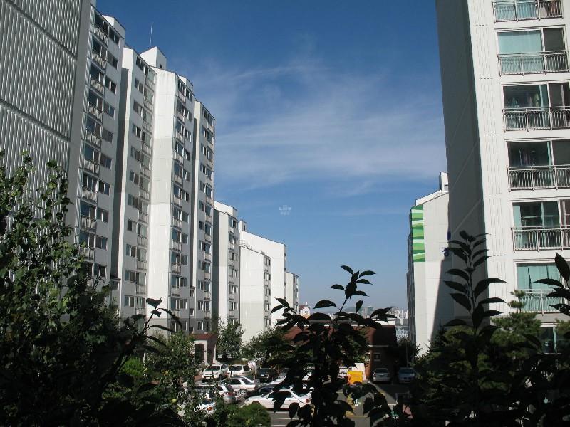 사진 096