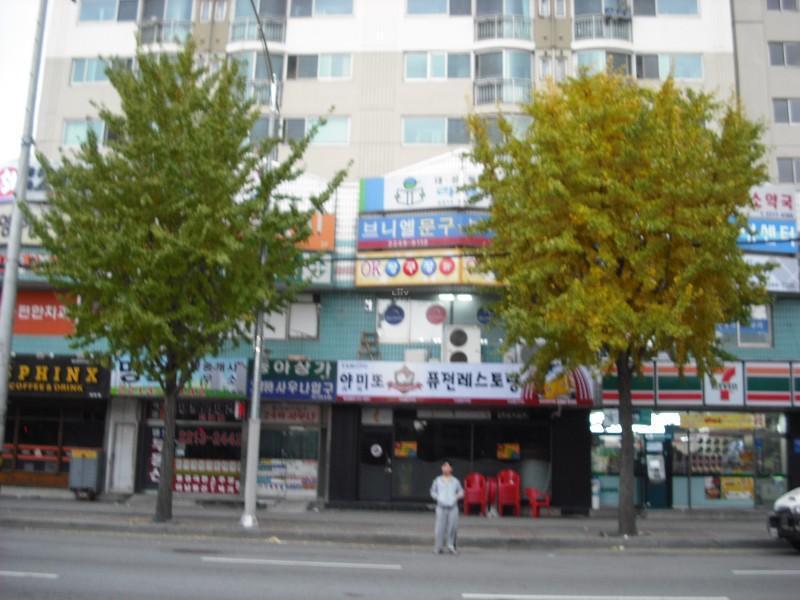 동아 시세, 가격, 매매, 전세