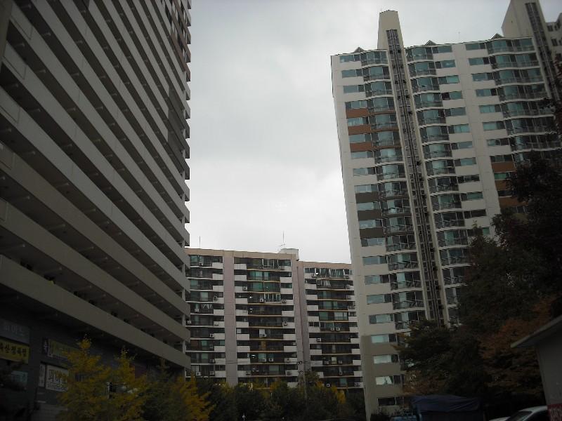 DSCF0067