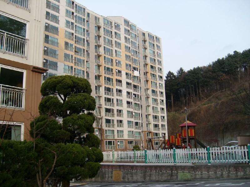 사진 395
