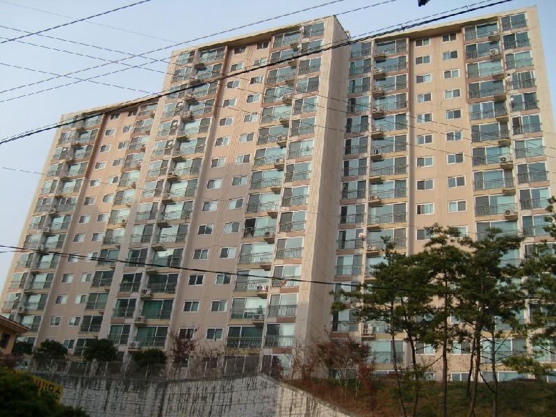 사진 405