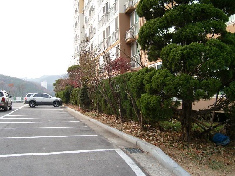 사진 396