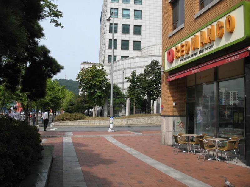 사진 216