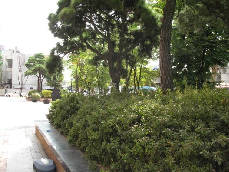 사진 219