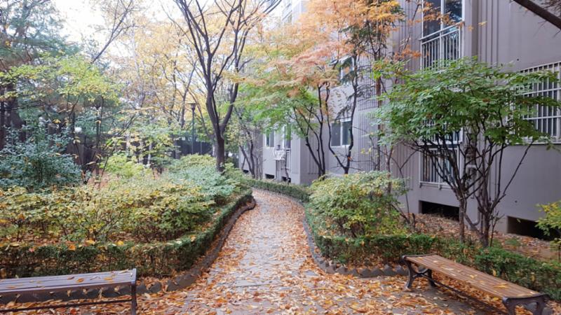 단지 주변과 연결된 산책로 입니다