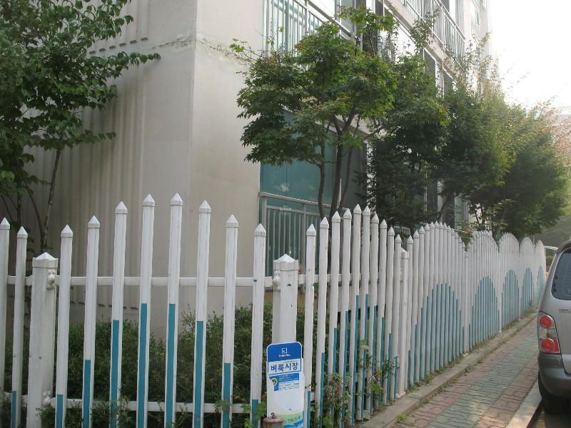 사진 229