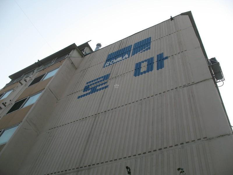 사진 227