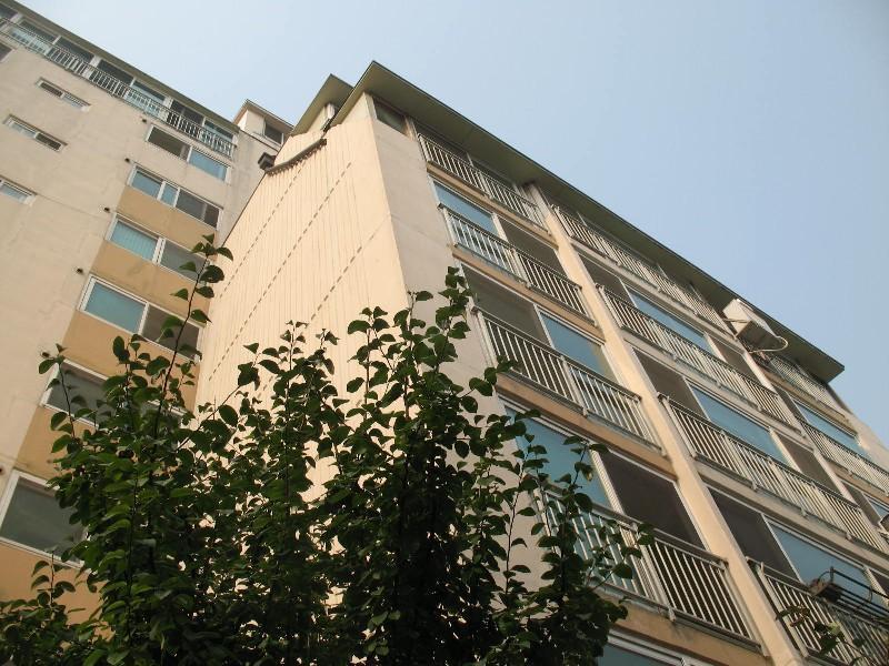 사진 236