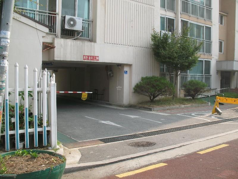 사진 230